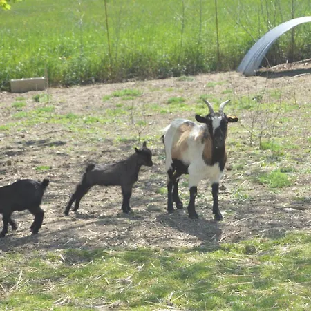 Feriehus Roumanieu Le *