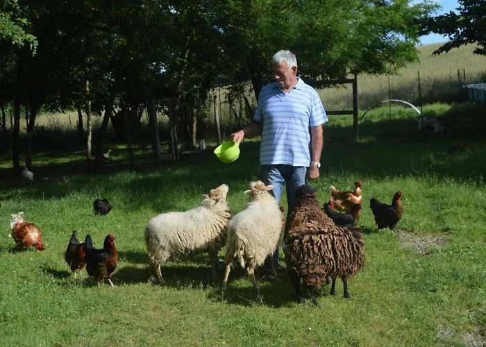 Roumanieu Le 度假居