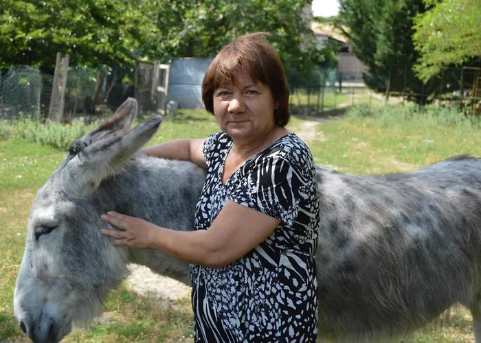 Roumanieu Le 度假居 Saint-Gauzens